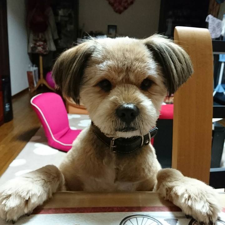 6495c7bc c15c 43fc a0a0 6dca358a7d36