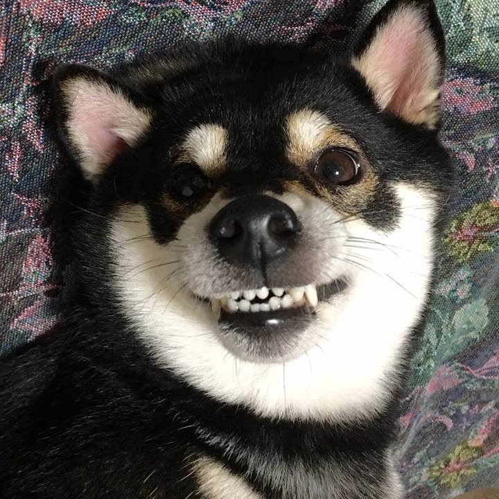 6496060b 7b7d 475c badb c461c51476b8