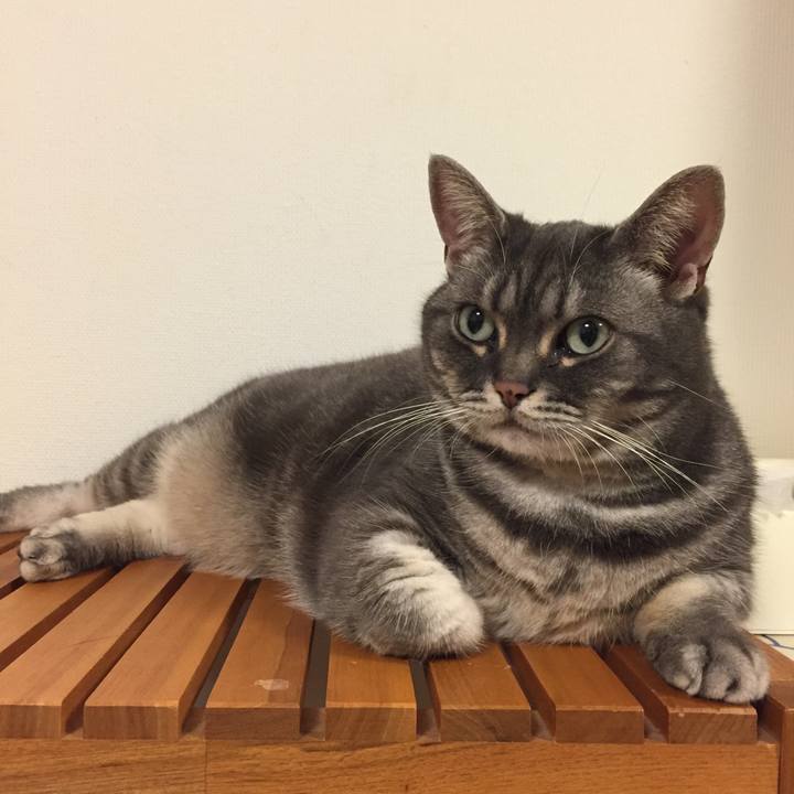 6496c08b 12f7 48f3 bcf2 5e35f6b6f6dc