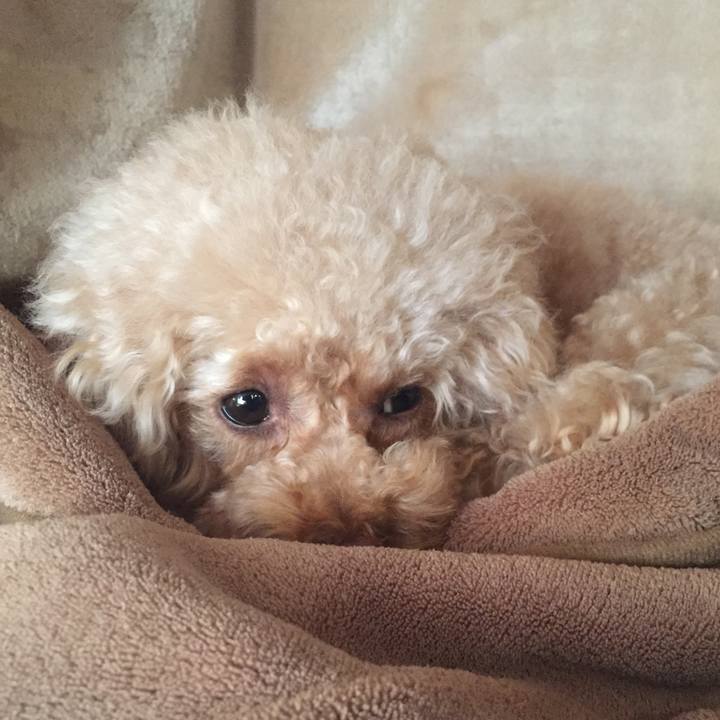 6496daee 3748 4d0d 8230 24124cafcdc4