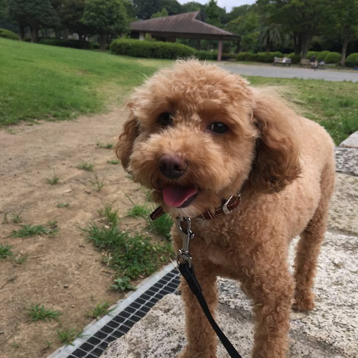 64971ac4 815a 4903 a64b f84bb8422f46