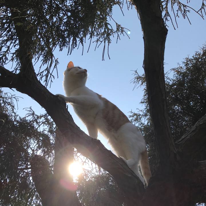 64975086 4fa9 48cf b3c8 8142c951f8a3