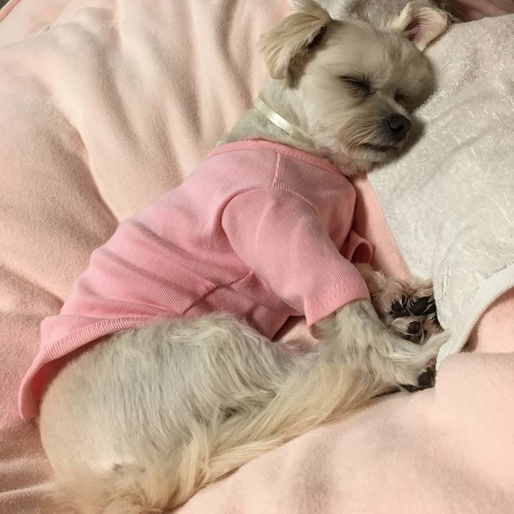 649750f1 f18f 4e44 bbb1 bf959021c123