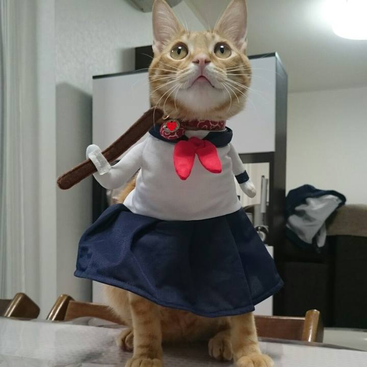 6497941e 0773 49cc beda 24e29404bace