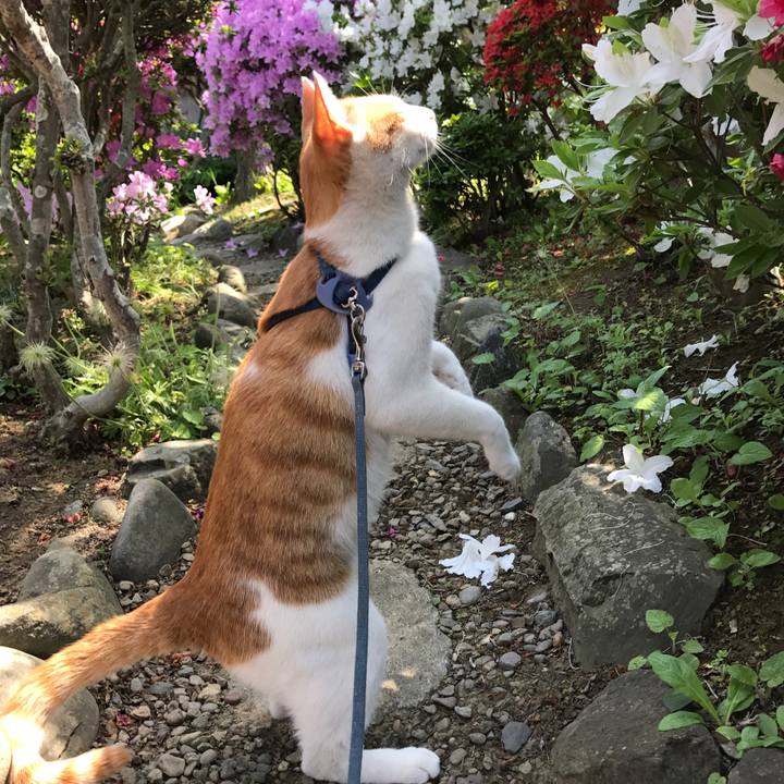 6497a3c4 1a02 488f b175 a73b8170b533