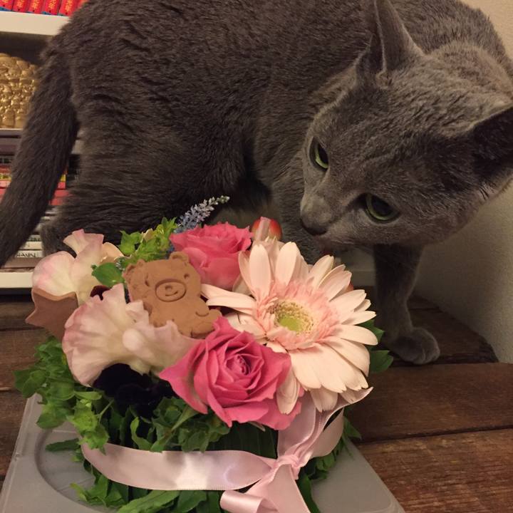 6497eb46 828f 4c30 abb9 ee983701fa70