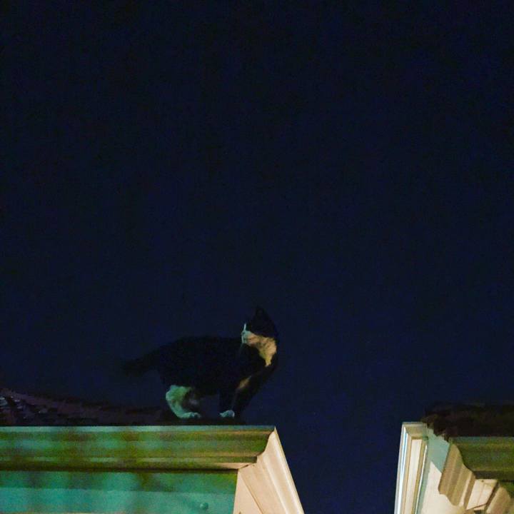 6497f918 ecb1 4d87 b29e f7e19d954981