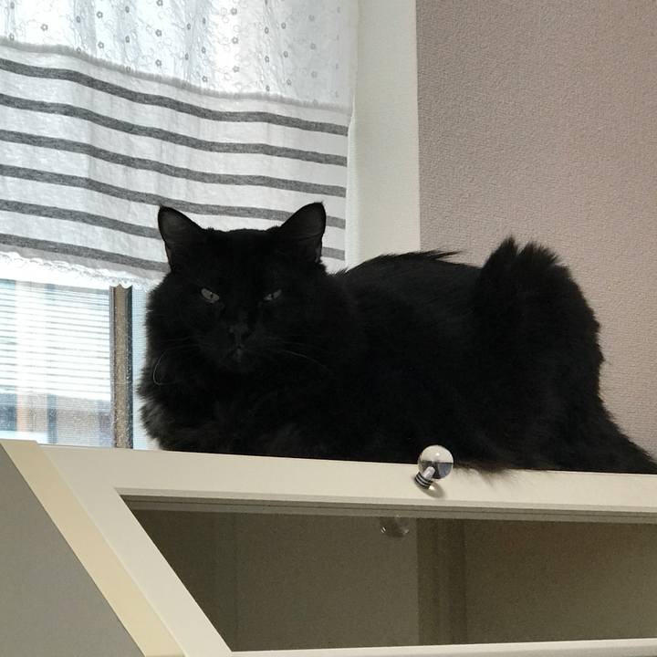 6498bd03 2902 468d 8120 d614c6cc4820