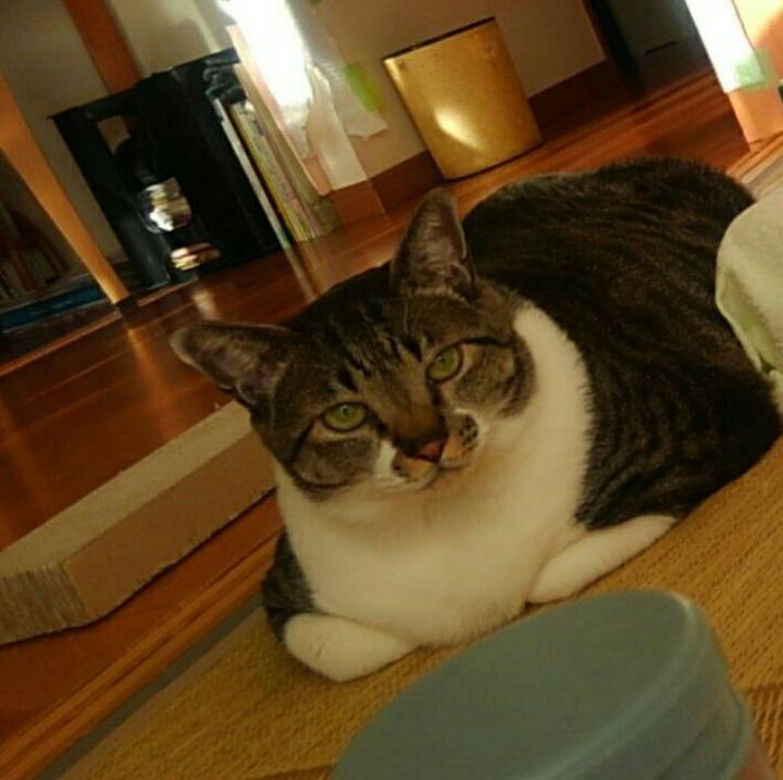 6498ccd8 9fe3 4108 8ed4 f0e9f35dc9ea