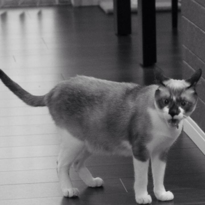 6498e054 c38e 416c b1de 00f8cf5df758