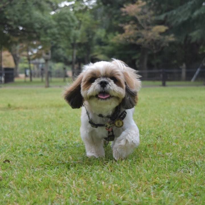 6498e3e8 2e63 40ec 9528 b97b7b2ede02