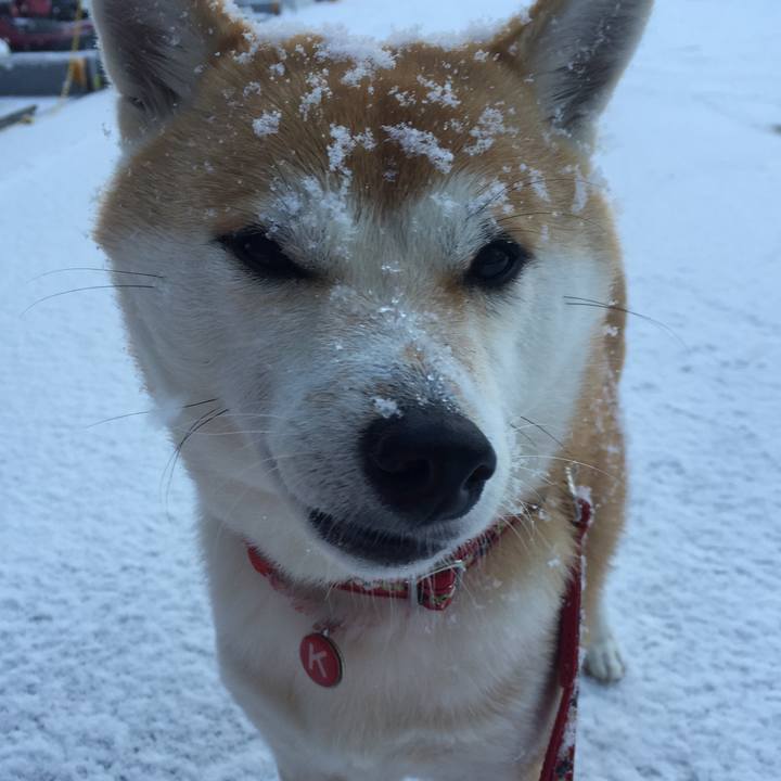 6499491f ee66 4251 8508 b4f8e98082d7