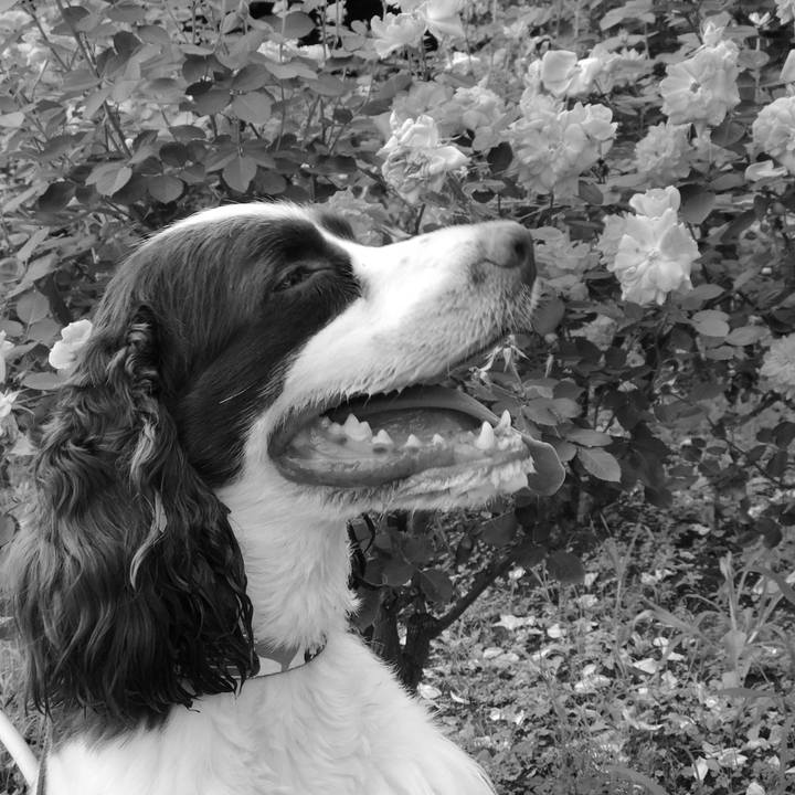 649a1963 9631 4231 a5bb 3f380ba0e840