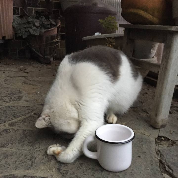 649a813a 6ca6 413b 8ad3 8b484d2bda17