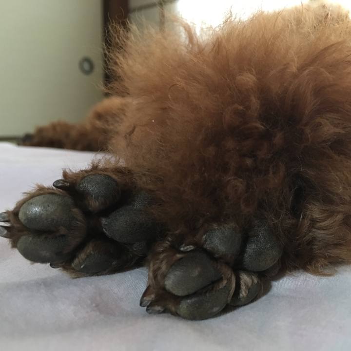 649ab90e eae5 42da bcc4 7fb5d33f3699