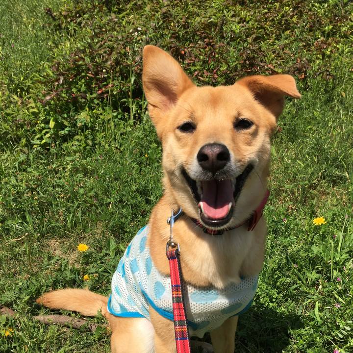 649b078a 57d5 4262 9b58 3b54c1f1f6e1