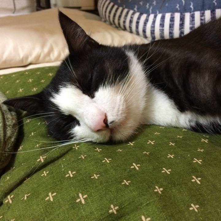 649b7430 459c 41c8 bd29 73129fb64897