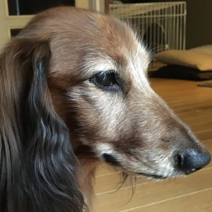 649bb3d6 fa5c 4026 be62 2fbafa414c60