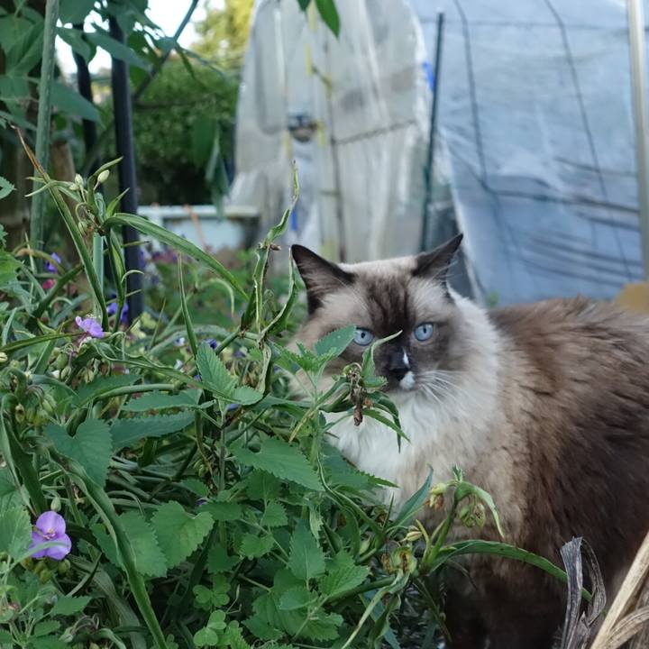 649bc8cf efae 495a 9145 46ac1fba50ce