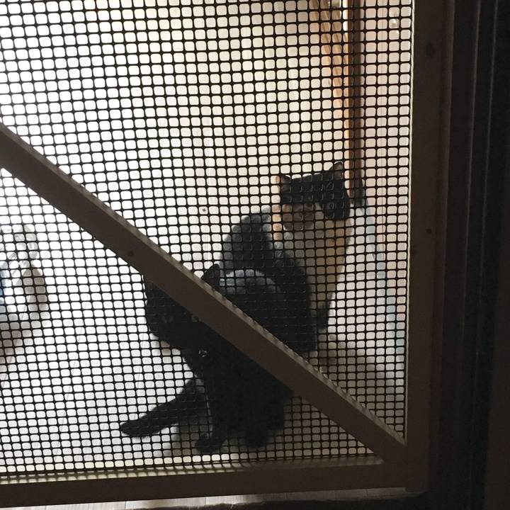 649c2d82 6651 46c7 b748 8d7c391d6dad