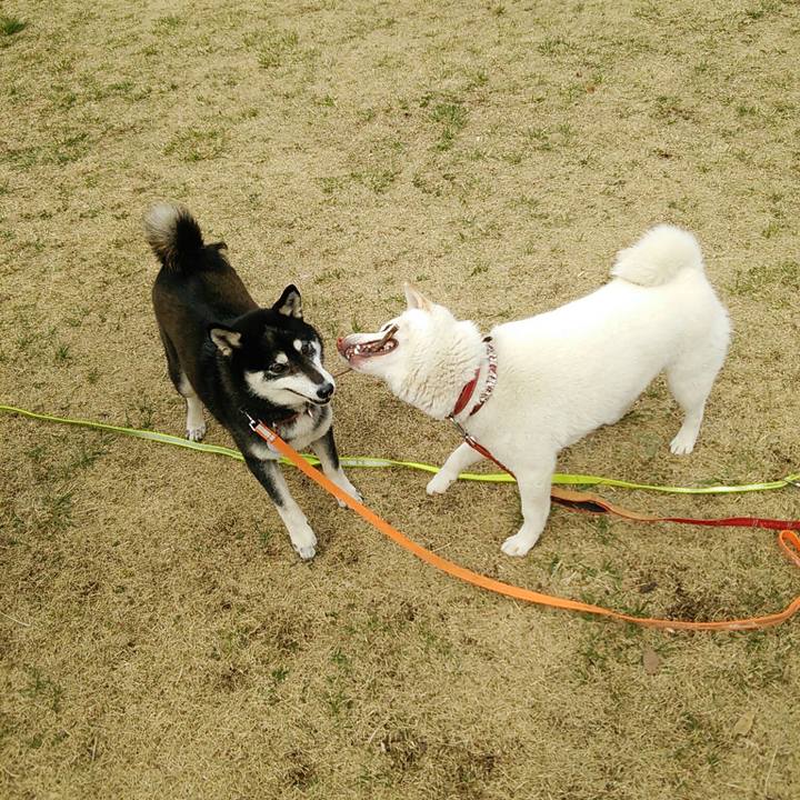 649c300c 7037 4211 b7a3 ab050329cd69