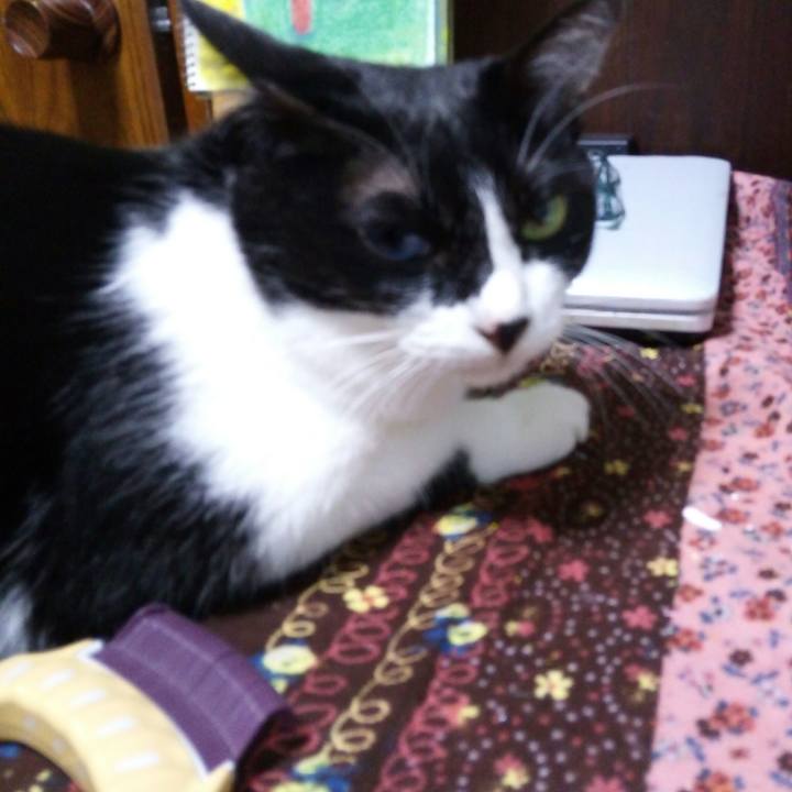 649c3493 992e 4e3b b224 d2404b5c2f35