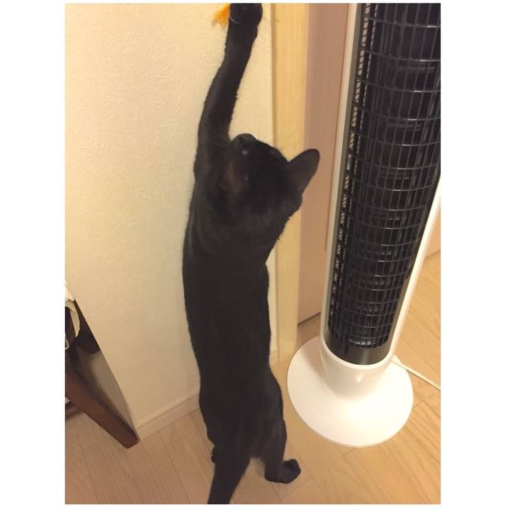 649c9f32 3cff 43fd 9c0e 7a424031ada2