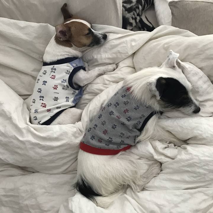 649cb18b 8667 4523 b5e4 66a6d95b7bff