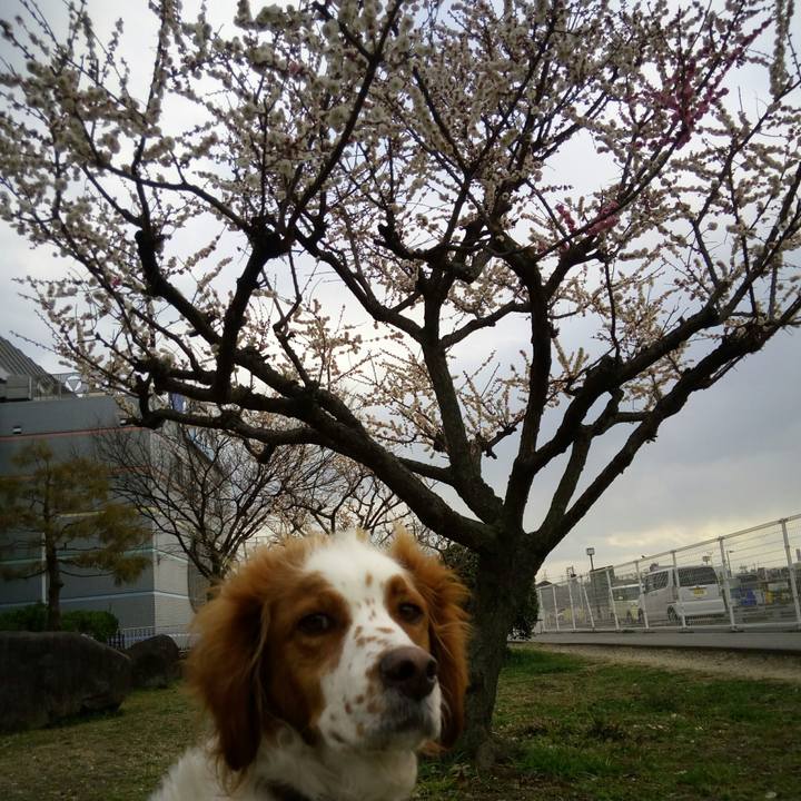 649cc8f9 03c0 4059 989a c85bfa198098