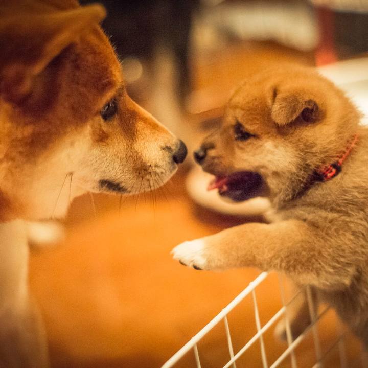 649d1cf4 234c 4e3f 91f4 d4a8edefec09