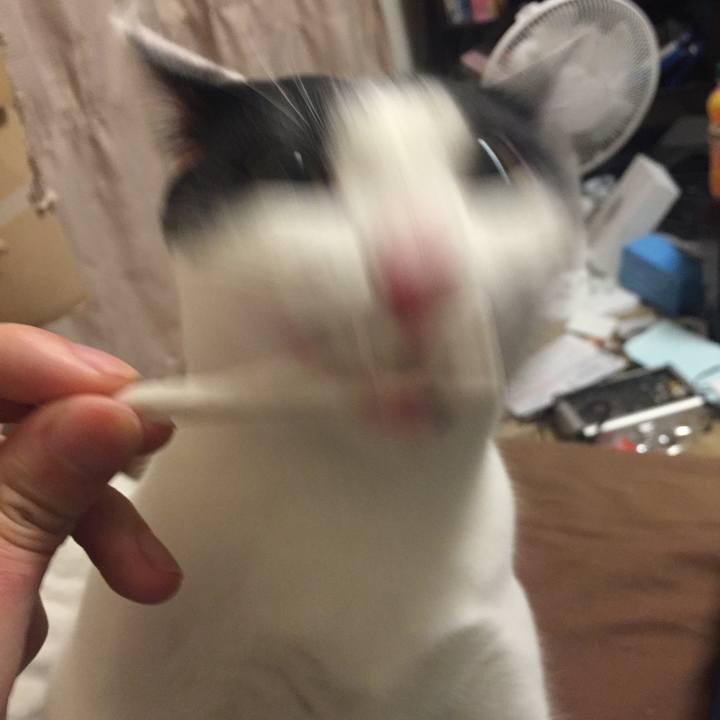 649d25b2 03fc 4abb b183 6144d75fc469