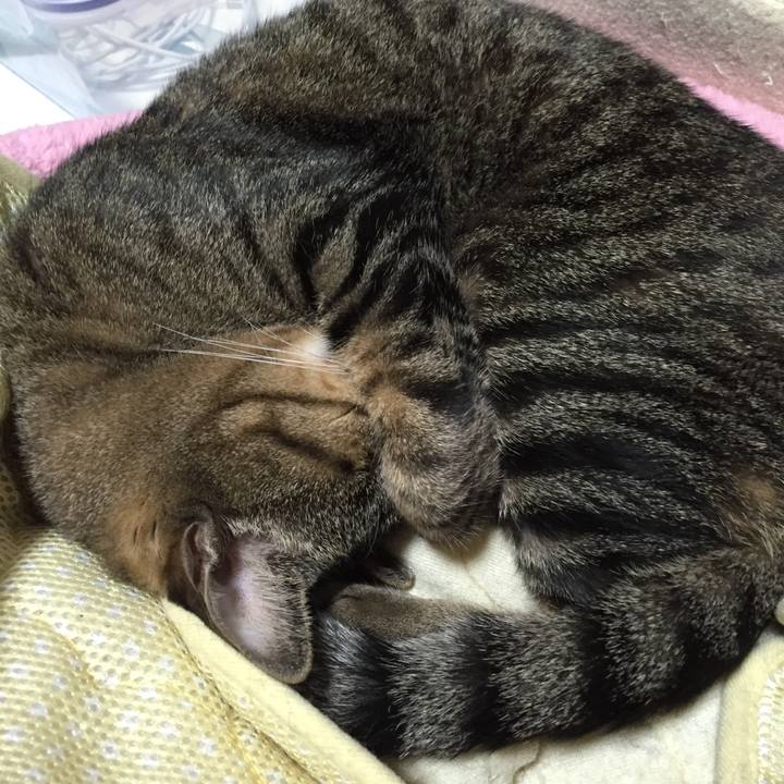 649d5637 69ce 4a66 8cdc d1465686003b