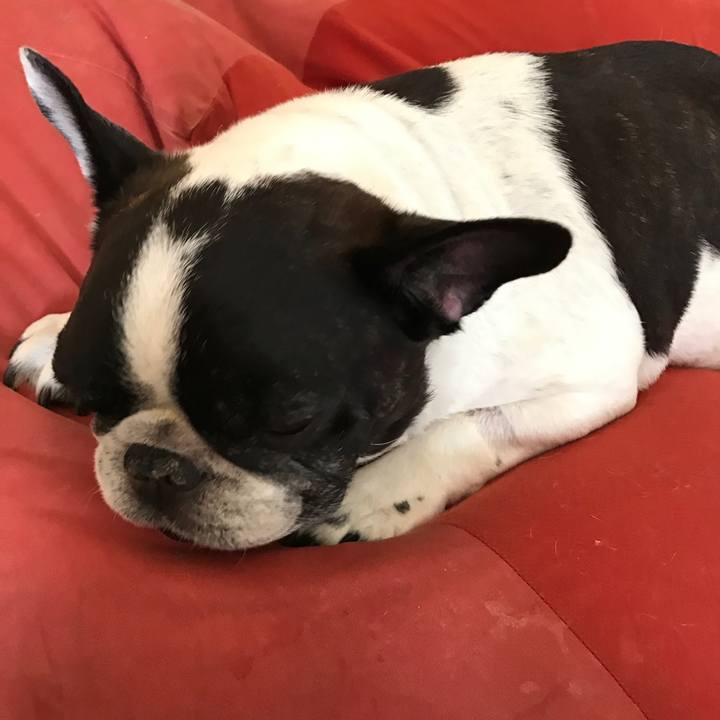 649d82a8 945a 433e bad1 b0b9849f7dad