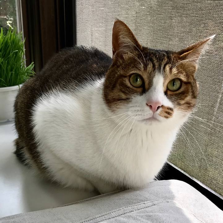 649dabb1 2440 4b55 9aa6 fb15d9c619d9