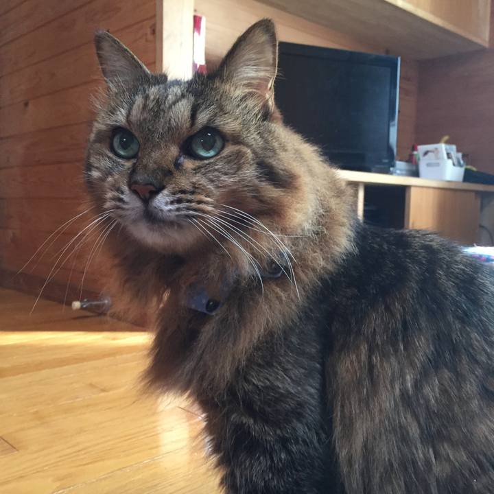 649deb46 d92f 46b5 abbd 8fd53b6a8959