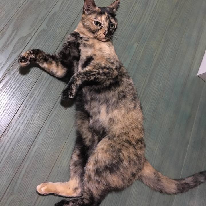 649dfada afd7 4a82 80d8 25df590a2573