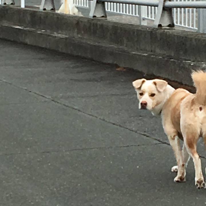 649e61b4 23b4 430f a9fd 677b7306b6bc