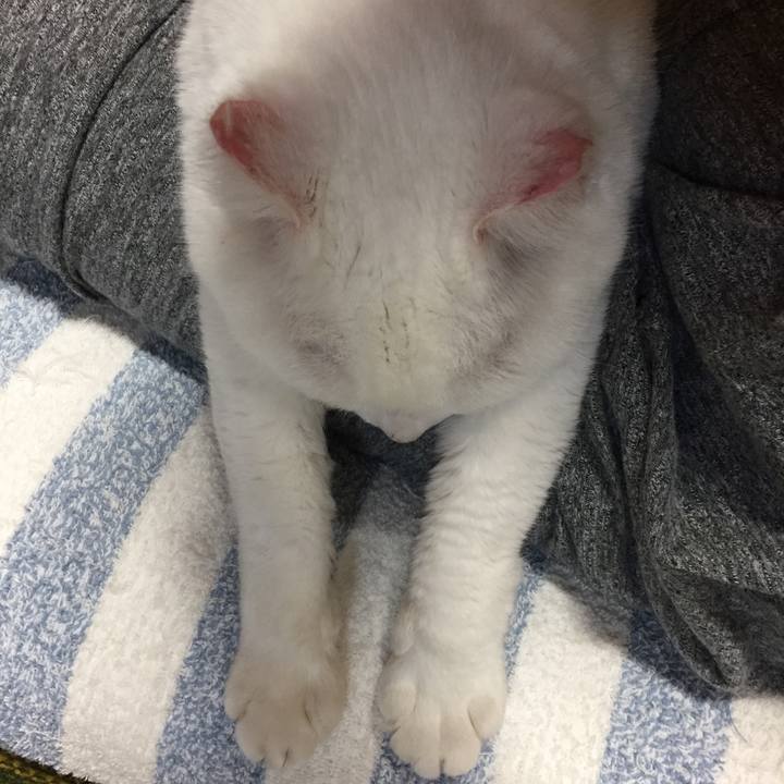 649e7b5b 40bc 4af7 8346 f89b17919261