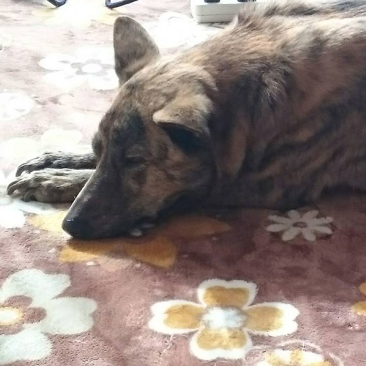 649e81cf ccb8 493f a654 595462254b68