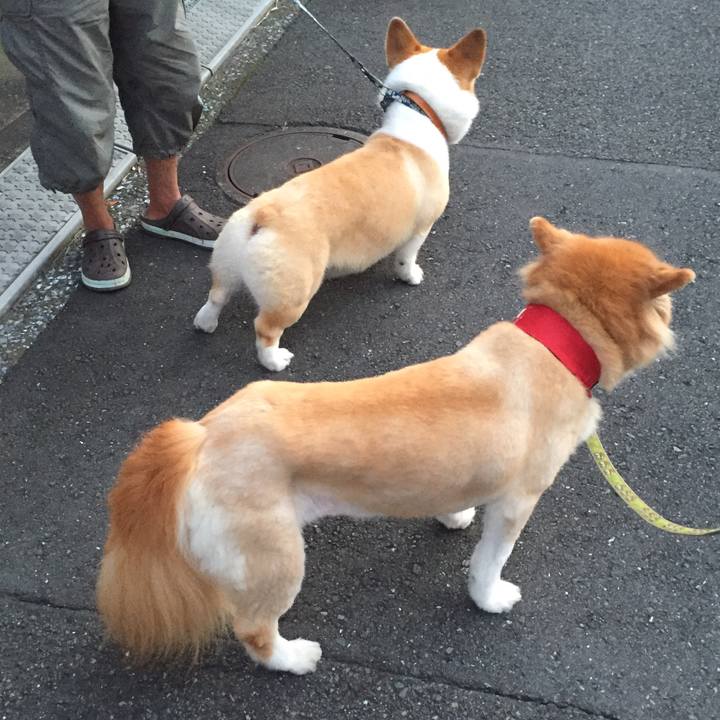 649eedb3 5ffe 4c0c 87ff 791dc7dc08c9