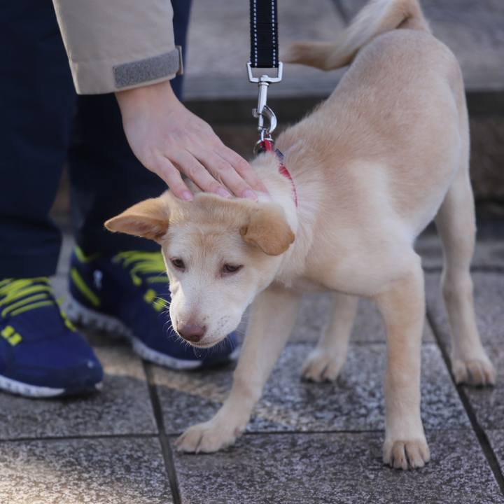 649f0089 fe4b 49a8 83b8 27a05f4d9dbf