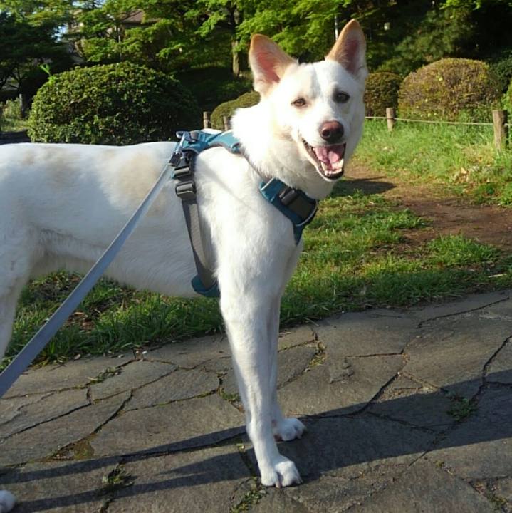 649f2f13 2f7f 4ea5 b6bb ca46ffdc18ba