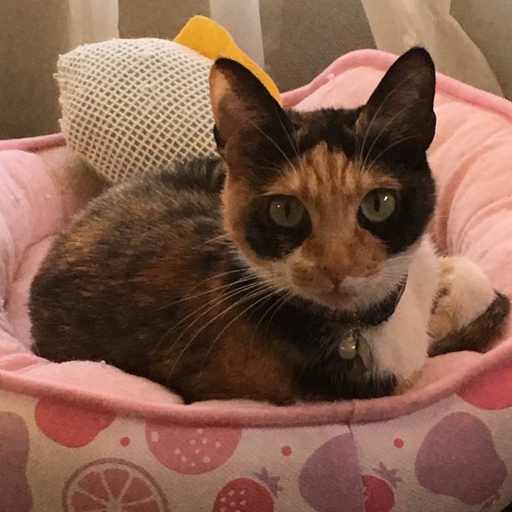 64a0bd86 e4e3 45bb 8adf ee1b13e5f596