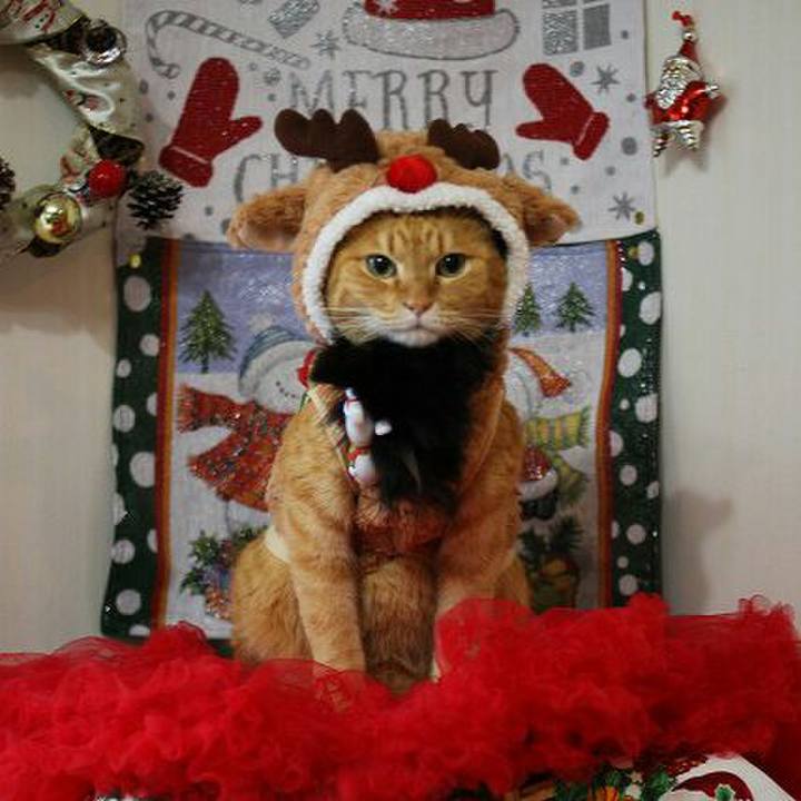 64a25ee9 67dc 47aa a2f9 e778e5f99e0c