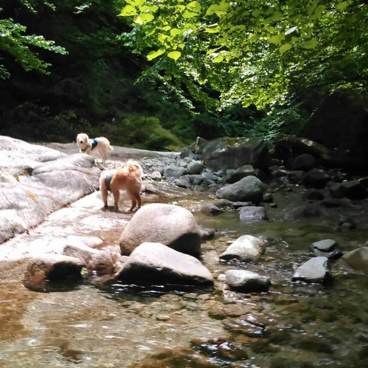 64a2cbf8 b29b 4baa bf2e d098fe712b32