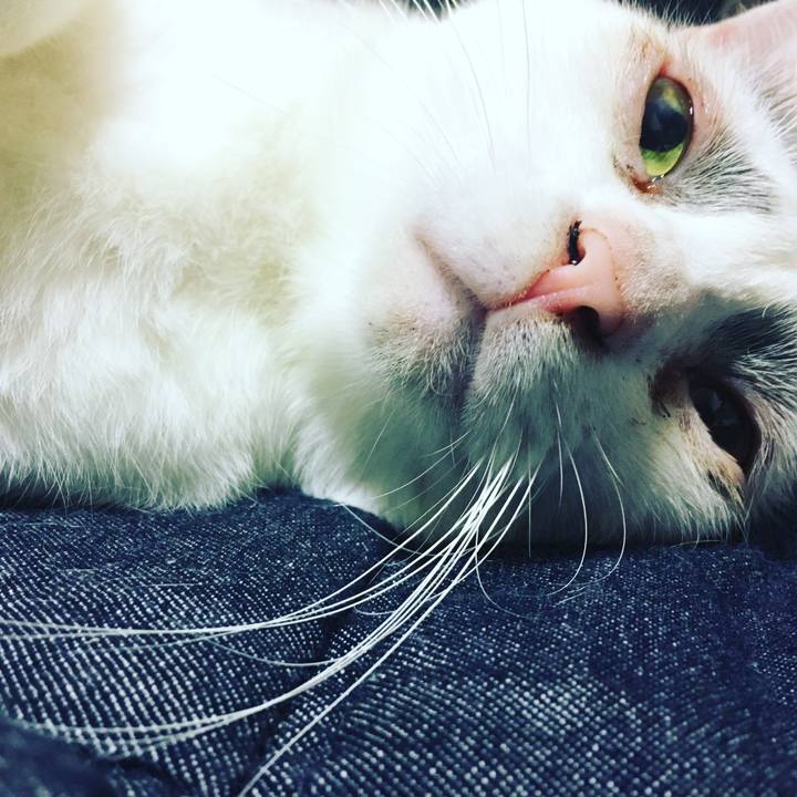 64a3d3db 46ec 4317 a0c3 f4583efccbac