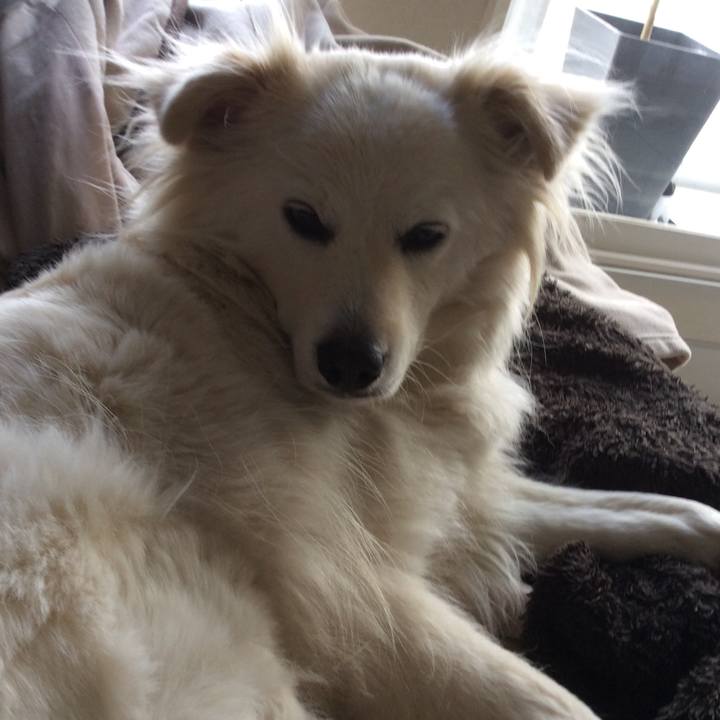 64a3f01c 5486 49d6 a030 475209f08025