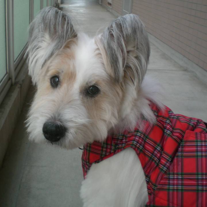 64a418e4 9582 4f02 96a1 aea4f41e6012