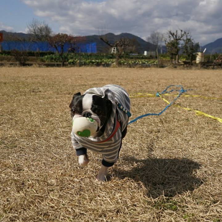 64a48531 9e0b 4ef1 a319 456fcffd5ad1