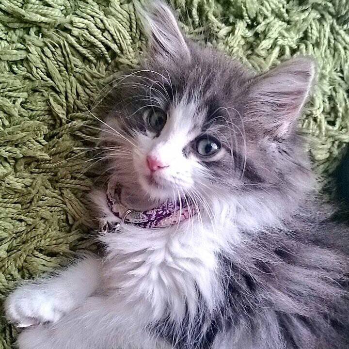 64a4dab0 8a3f 46ba bdd9 c5969b5df8ea